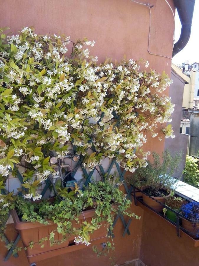 Ca' San Silvestro 2 Terrazze Nel Cuore Di Venezia Veneza Exterior foto